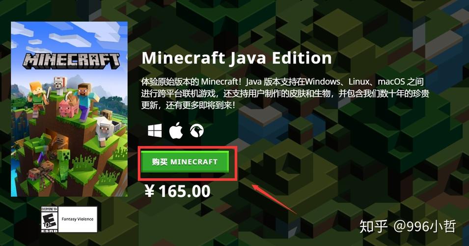 我的世界正版在哪买Minecraft正版多少钱