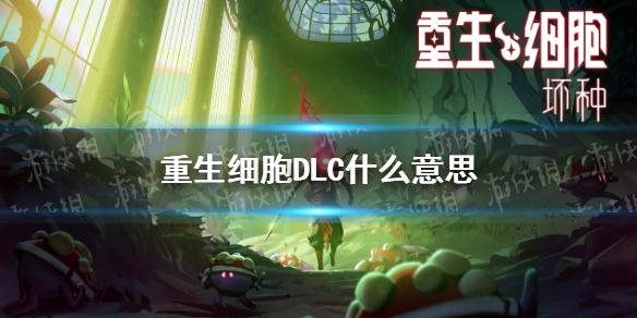 DLC 是什么意思？